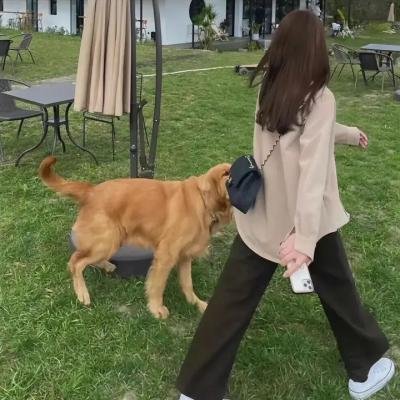 跑女战国行