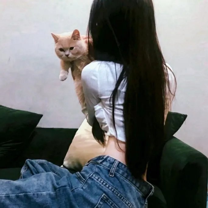 蒙古王