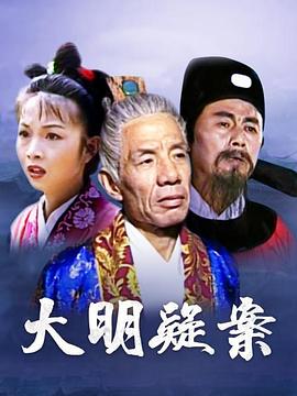 白宫水管工 封面图